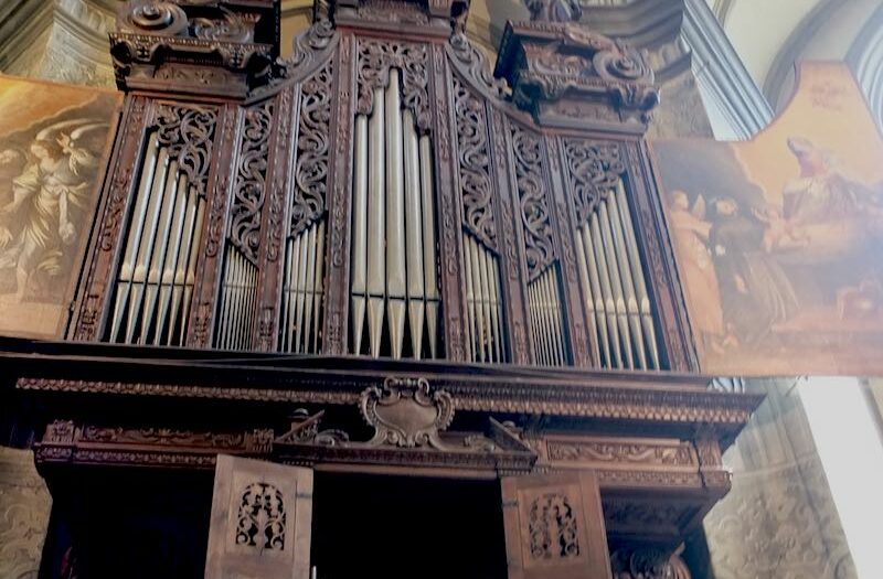 Wöckherl Orgel