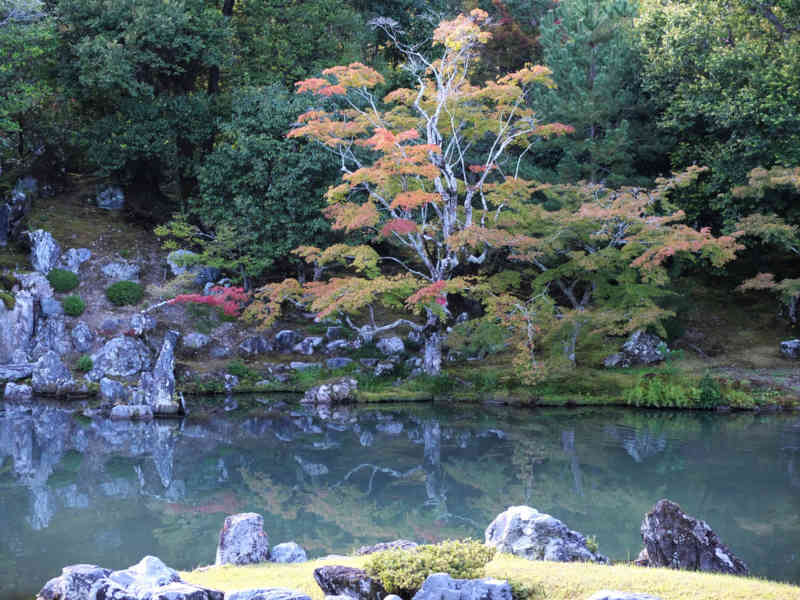 Zen-Garten im Tempel Tenryu-ji (JR-13)